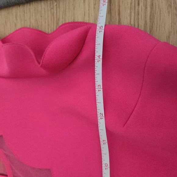 Ted Baker London Pink Sharlot Mesh Paneled Scallop Fit Flare Dress Size US 4 - Picture 8 of 9